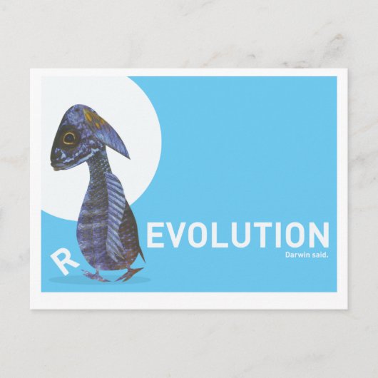 絵葉書 (R)EVOLUTION ダーウィンが言った ポストカード (正面)