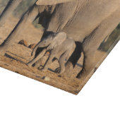 絶えず動いているアフリカゾウの母および子牛 カッティングボード (角)