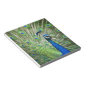 絶叫する孔雀 ノートパッド (アングル)