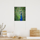 絶叫する孔雀 ポスター (キッチン)