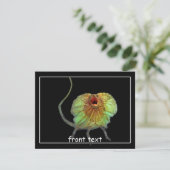 絶叫トカゲ 招待状 (スタンド正面)