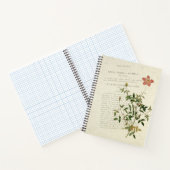 絶妙なミニチュア：ローザインディカパミラノートブック ノートブック (内部)