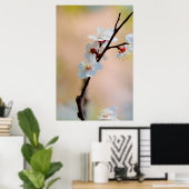 絶妙な日本のアプリコットの花 ポスター (ホームオフィス)