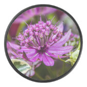 絶妙な魔法の花#1 アイスホッケーパック (正面)