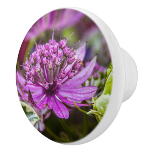 絶妙な魔法の花#1 セラミックノブ (右)