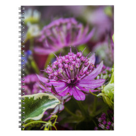 絶妙な魔法の花#1 ノートブック