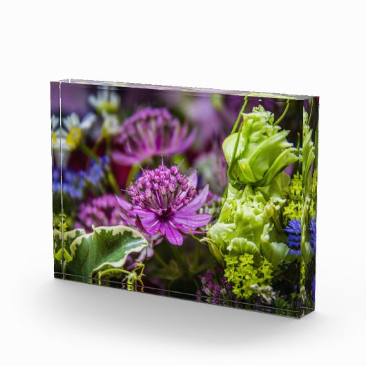 絶妙な魔法の花#1 フォトブロック (右)