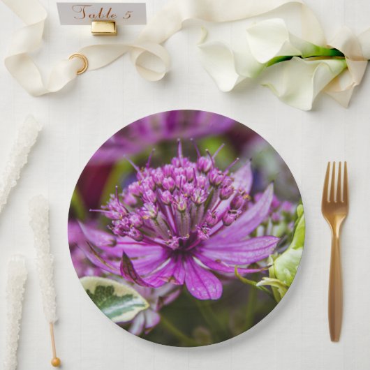 絶妙な魔法の花#1 ペーパープレート (ウェディング)