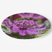 絶妙な魔法の花#1 ペーパープレート (アングル)