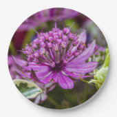 絶妙な魔法の花#1 ペーパープレート (正面)