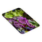 絶妙な魔法の花#1 マグネット (右側)