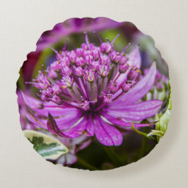 絶妙な魔法の花#1 ラウンドクッション