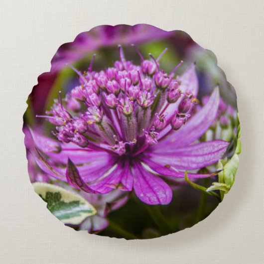 絶妙な魔法の花#1 ラウンドクッション (正面)