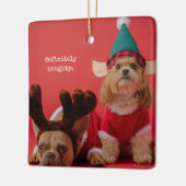 絶対にいけなペット写真かわいいクリスマス セラミックオーナメント (左)