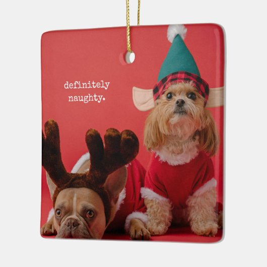 絶対にいけなペット写真かわいいクリスマス セラミックオーナメント (左)