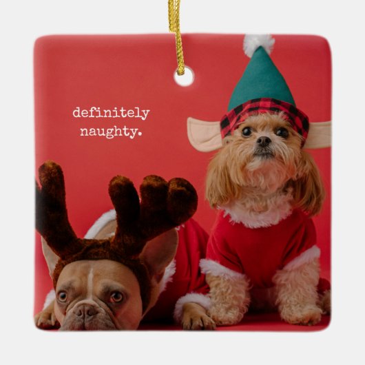 絶対にいけなペット写真かわいいクリスマス セラミックオーナメント (正面)