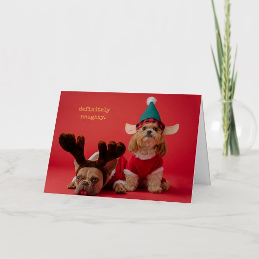 絶対にいけなペット写真かわいいクリスマス 箔シーズンカード (正面)