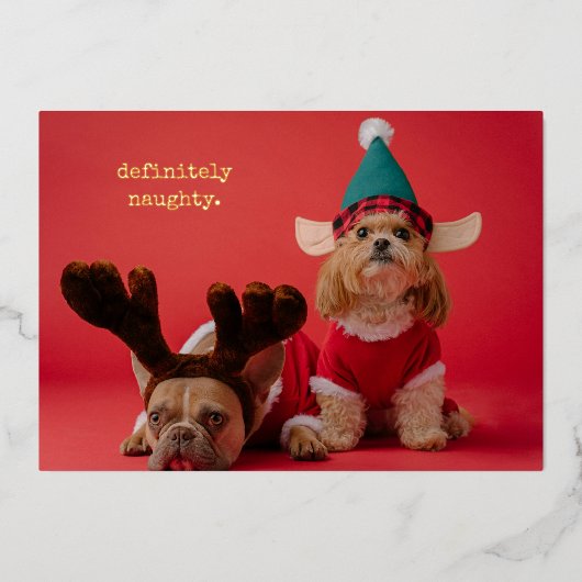 絶対にいけなペット写真かわいいクリスマス 箔シーズンカード (正面)