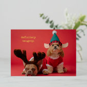 絶対にいけなペット写真かわいいクリスマス 箔シーズンカード (立ち正面)