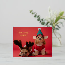 絶対にいけなペット写真かわいいクリスマス 箔シーズンポストカード
