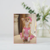 絶対にかわいいチワワの郵便はがき ポストカード (スタンド正面)