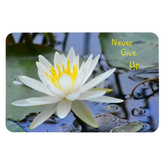 絶対に与え水のユリ マグネット (横)