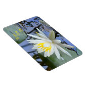 絶対に与え水のユリ マグネット (右側)