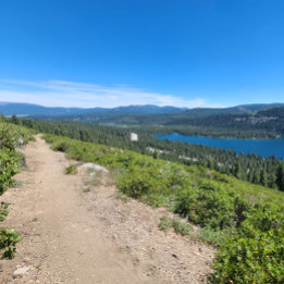 絶対に！多分。 ポスター