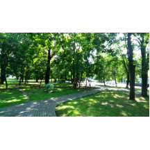 絶対に！多分。