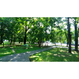 絶対に！多分。 ポスター