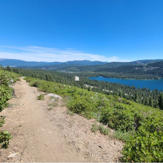 絶対に！多分。 ポスター