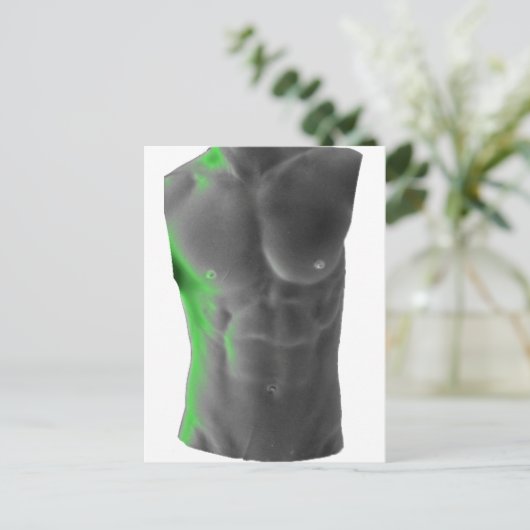 絶対 ポストカード (スタンド正面)