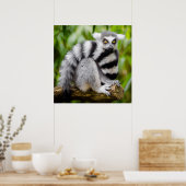 絶滅のおそれのあるキツネザル ポスター (キッチン)