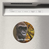 絶滅の危機に瀕したア素晴らしフリカのゴリラ類人猿 マグネット (インサイチュ (食洗機))