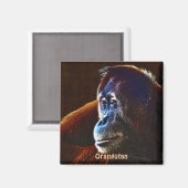 絶滅の危機に瀕したオランウタンレッドApes野生動物芸術マグネット マグネット (正面/裏面)