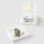 絶滅の危機に瀕したニコバルハト ストーンコースター (横)