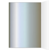 絶滅の危機に瀕した熱帯雨林のサル (内側 (左))