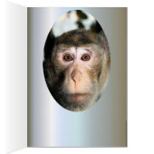 絶滅の危機に瀕した熱帯雨林のサル (内側 (右))