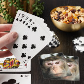 絶滅の危機に瀕した熱帯雨林のサル トランプ (インサイチュ)