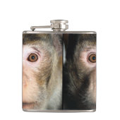 絶滅の危機に瀕した熱帯雨林のサル フラスク (正面)