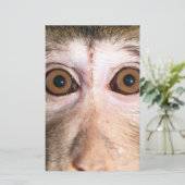 絶滅の危機に瀕した熱帯雨林のサル 便箋 (スタンド正面)