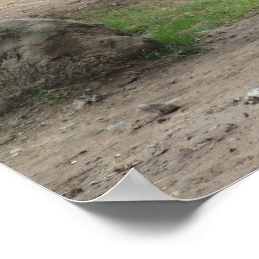 絶滅の危機に瀕している北の白いサイ ポスター (角)