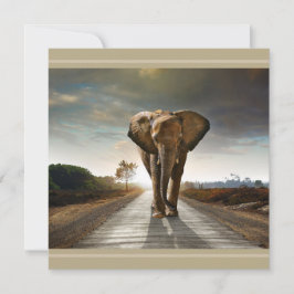 絶滅の危機に瀕するゾウを救おう！高精細プリントカード