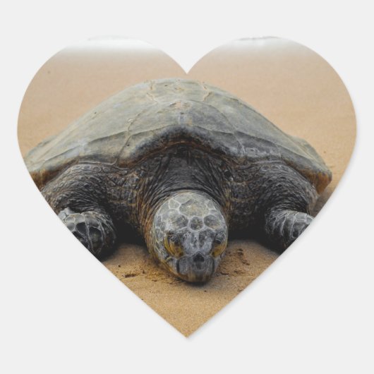 絶滅危惧ウミガメのステッカー ハートシール (正面)