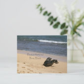 絶滅危惧ハワイアン僧シールカウアイハワイ ポストカード (スタンド正面)