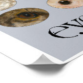 絶滅危惧動物の目のコレクション ポスター (角)