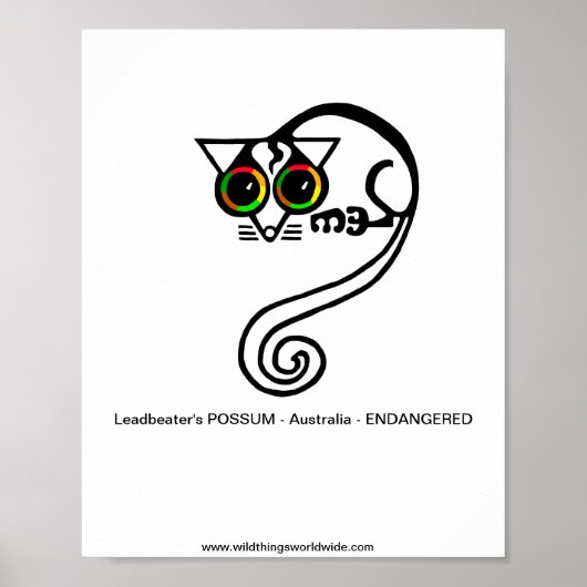 絶滅危惧動物 – Leadbeater's POSSUM – オーストラリア ポスター (正面)