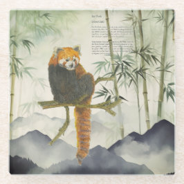 絶滅危惧可愛色彩の鮮やか手赤パンダ ガラスコースター