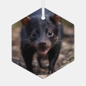 絶滅危惧種のオーストラリア人タスマニア人の悪魔 ガラスオーナメント (裏面)