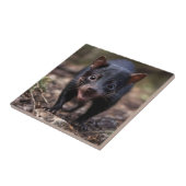 絶滅危惧種のオーストラリア人タスマニア人の悪魔 タイル (側面)